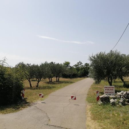 Holiday House Tunjarice Obrovac Exterior foto