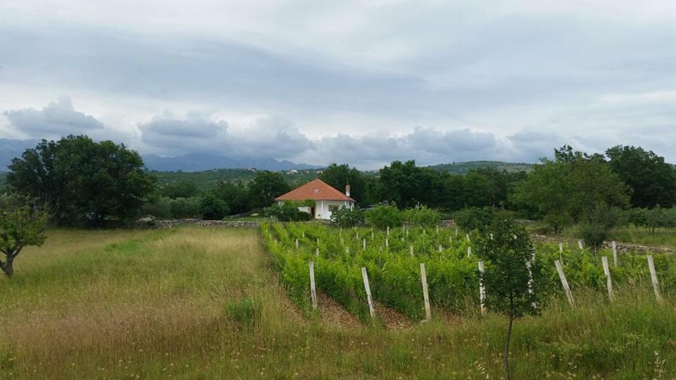 Holiday House Tunjarice Obrovac Exterior foto