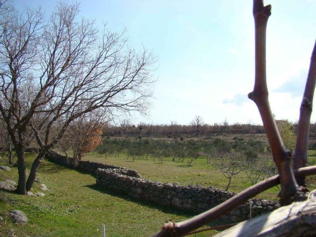 Holiday House Tunjarice Obrovac Exterior foto