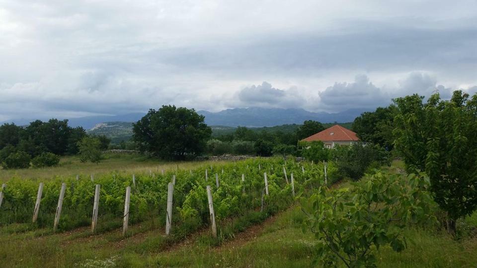 Holiday House Tunjarice Obrovac Exterior foto